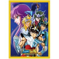 Sleeves Saint Seiya Chevalier de Bronze