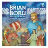 Brian boru high king of ireland 1