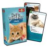 Défis nature - chats – image 3