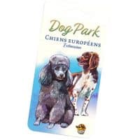 Dog Park - Chiens Européens