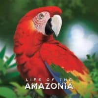 Life of the Amazonia - Bundle 3