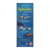Splendor - la route de la soie – image 2