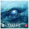 Dominant species - marines – image 2