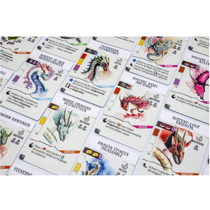 Wyrmspan - l'académie des dragons 3 Wyrmspan l academie des dragons 2