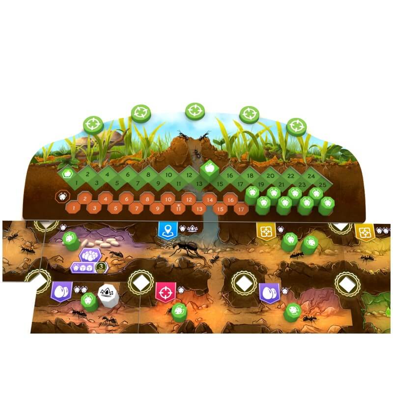 Microlonies 6 Microlonies 1